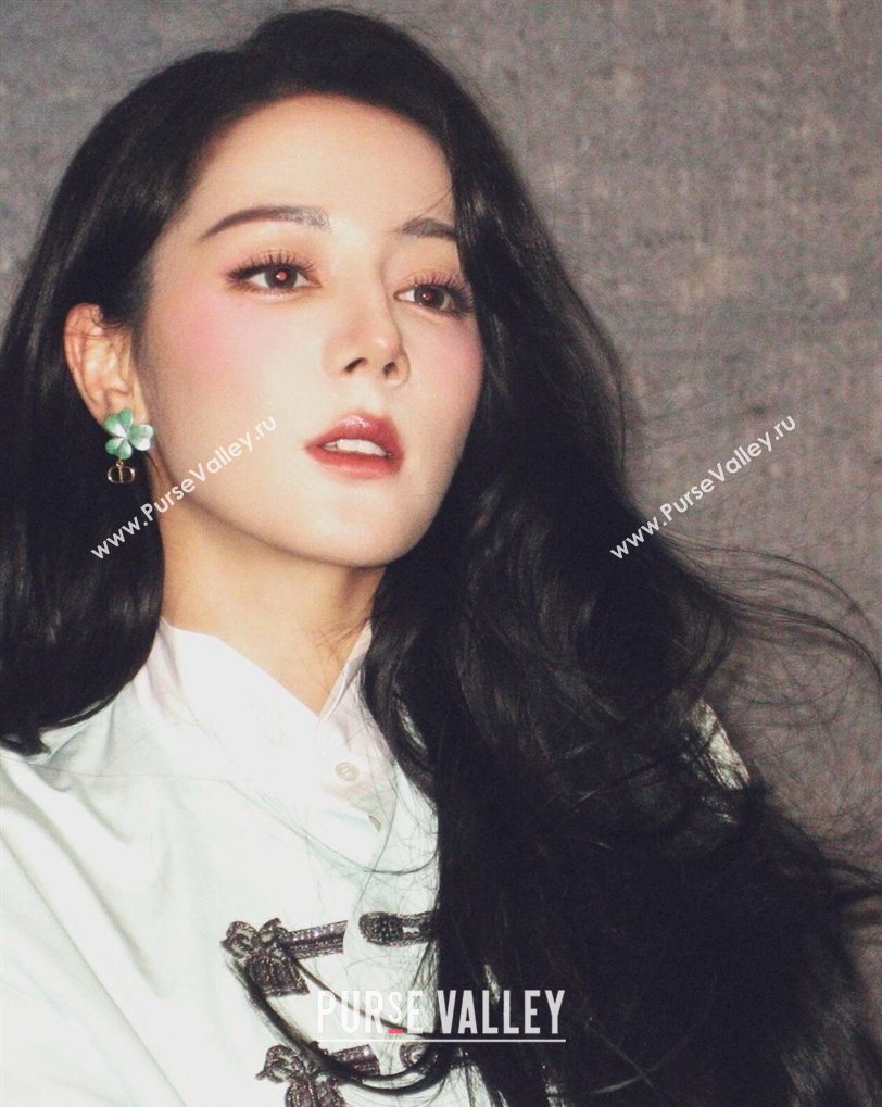 Dior Clover Earrings Green 2026 0321 (YF-260321019)