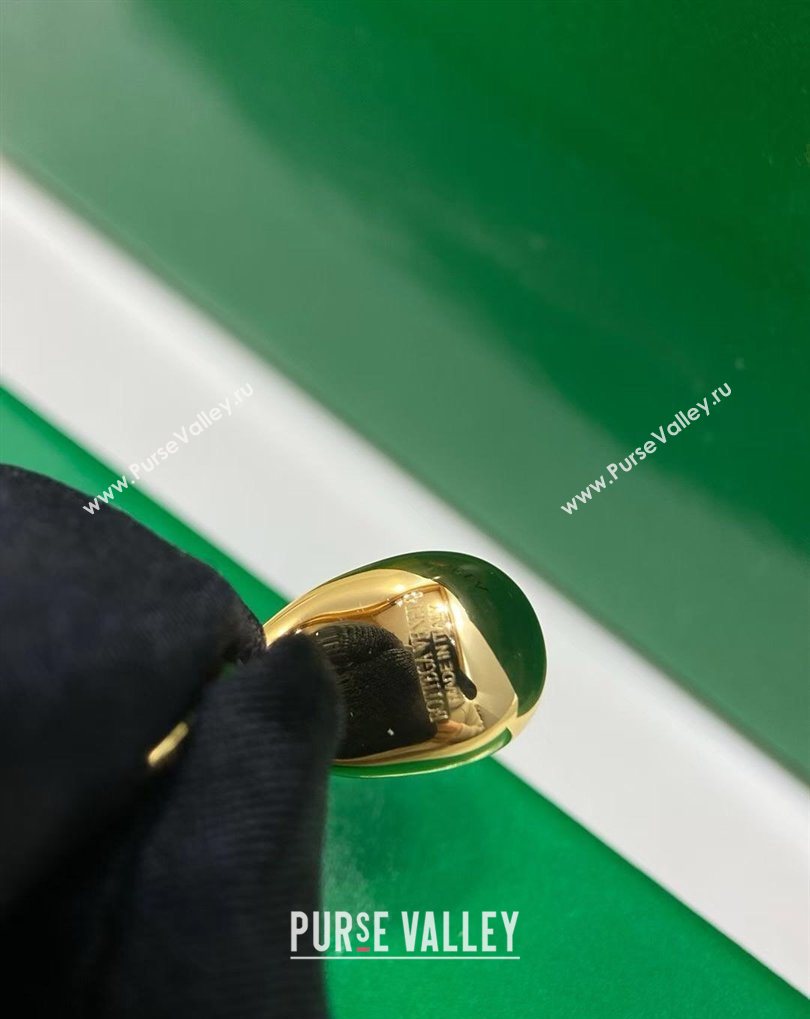 Bottega Veneta Drop Marble Earrings Green 2026 0321 (YF-260321034)