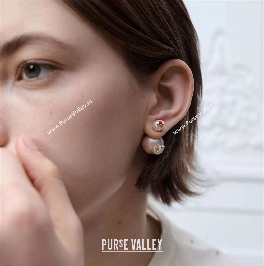 Dior Dioramour Tribales Dove Studs Earrings 2026 0321 (YF-260321053)