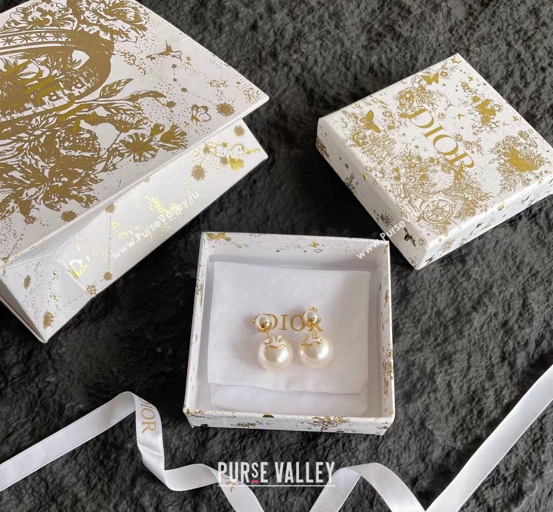 Dior Dioramour Tribales Dove Studs Earrings 2026 0321 (YF-260321053)