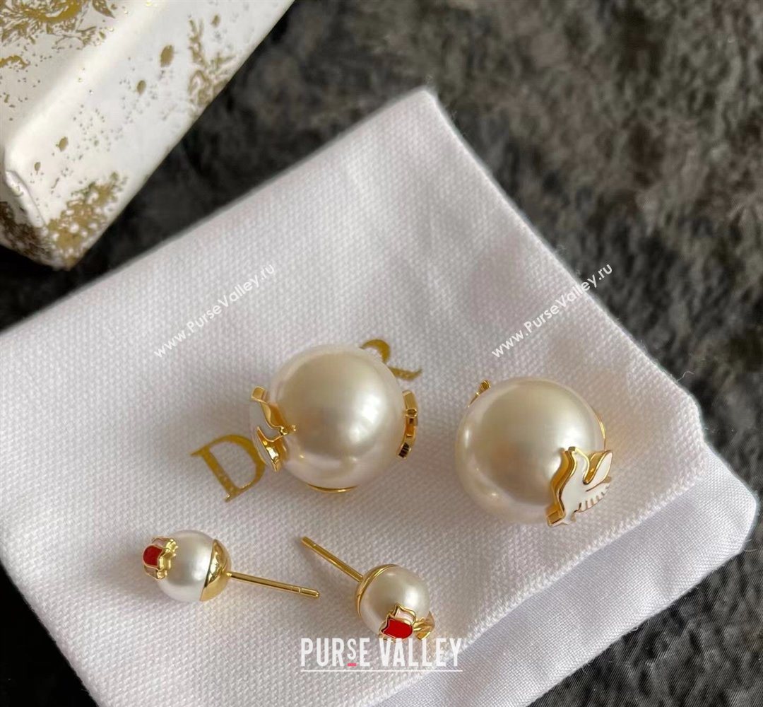 Dior Dioramour Tribales Dove Studs Earrings 2026 0321 (YF-260321053)