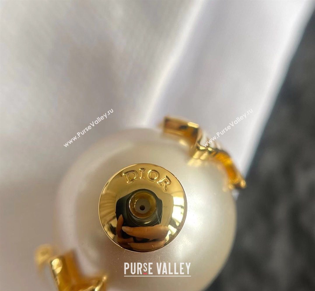 Dior Dioramour Tribales Dove Studs Earrings 2026 0321 (YF-260321053)