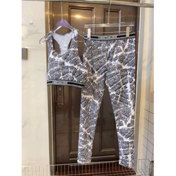 Dior Paris Yoga Activewear Set White 2025 0314 (WM-250314020)