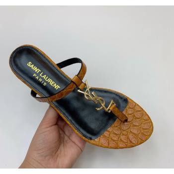 Saint Laurent YSL Flat Thong Slide Sandals in Brown Stone Embossed Leather 2024 0505 (MD-240506123)