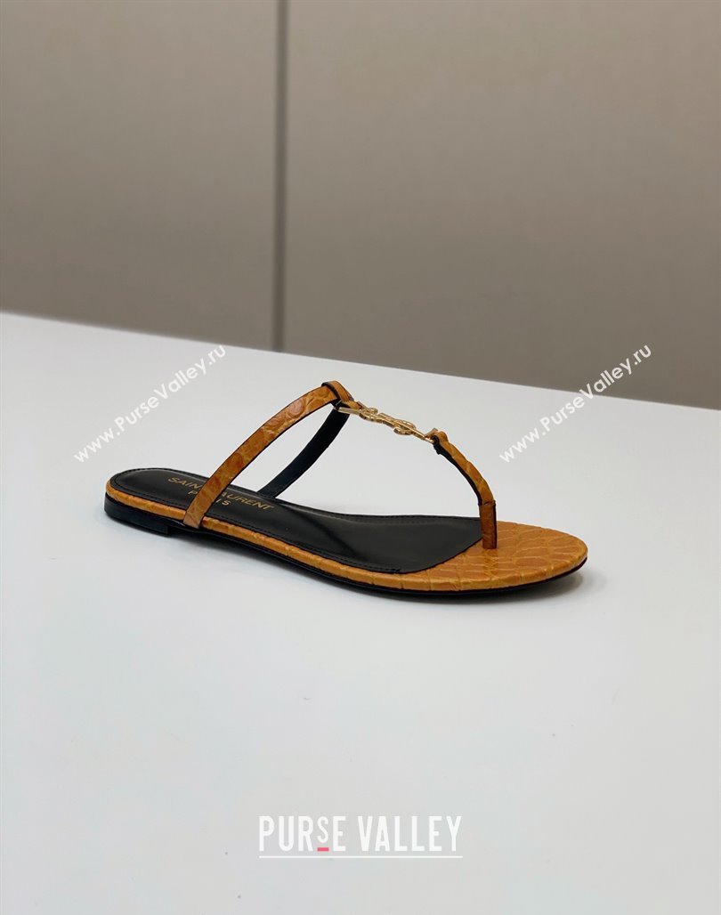 Saint Laurent YSL Flat Thong Slide Sandals in Brown Stone Embossed Leather 2024 0505 (MD-240506123)