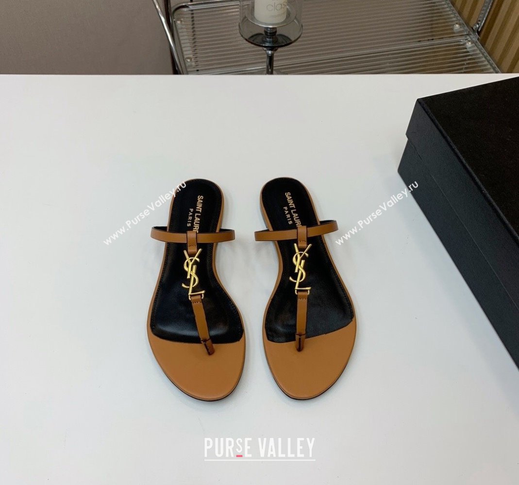 Saint Laurent YSL Flat Thong Slide Sandals in Brown Calf Leather 2024 0505 (MD-240506124)