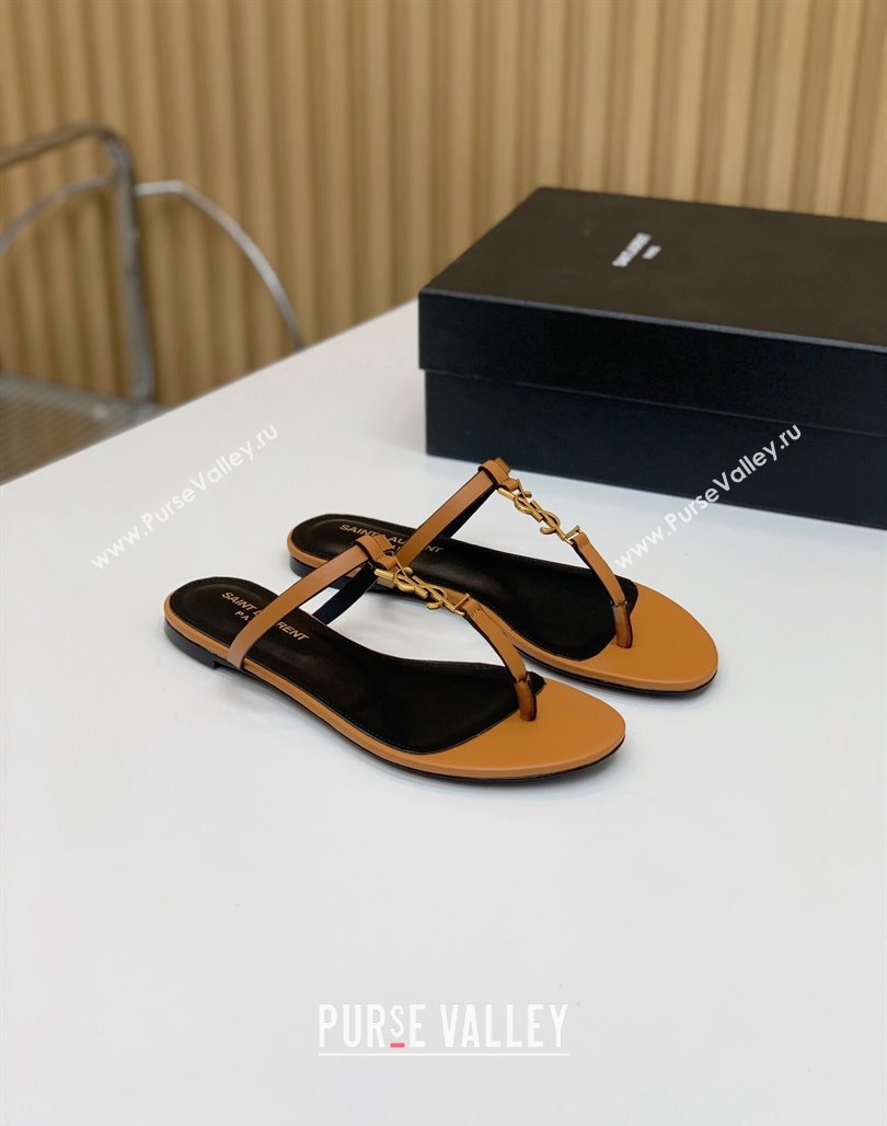Saint Laurent YSL Flat Thong Slide Sandals in Brown Calf Leather 2024 0505 (MD-240506124)