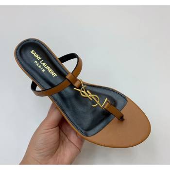 Saint Laurent YSL Flat Thong Slide Sandals in Brown Calf Leather 2024 0505 (MD-240506124)