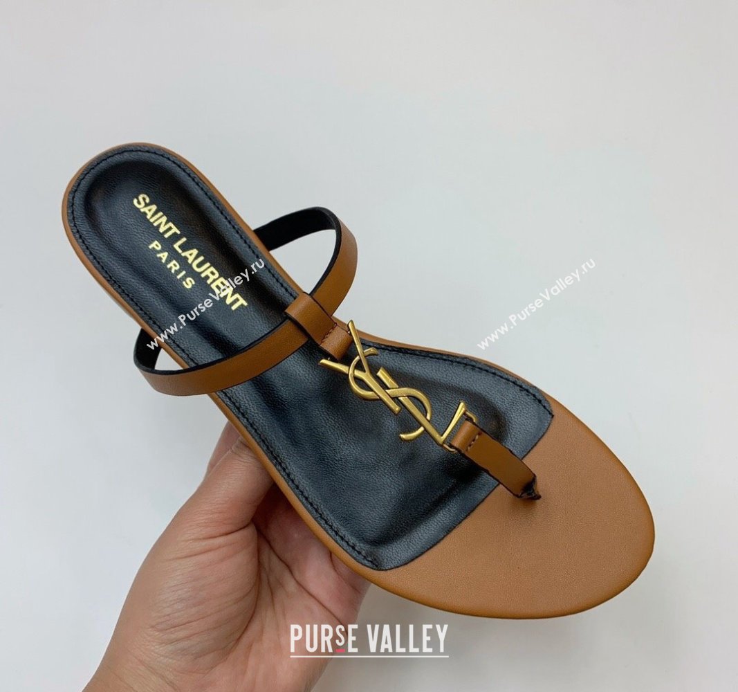 Saint Laurent YSL Flat Thong Slide Sandals in Brown Calf Leather 2024 0505 (MD-240506124)