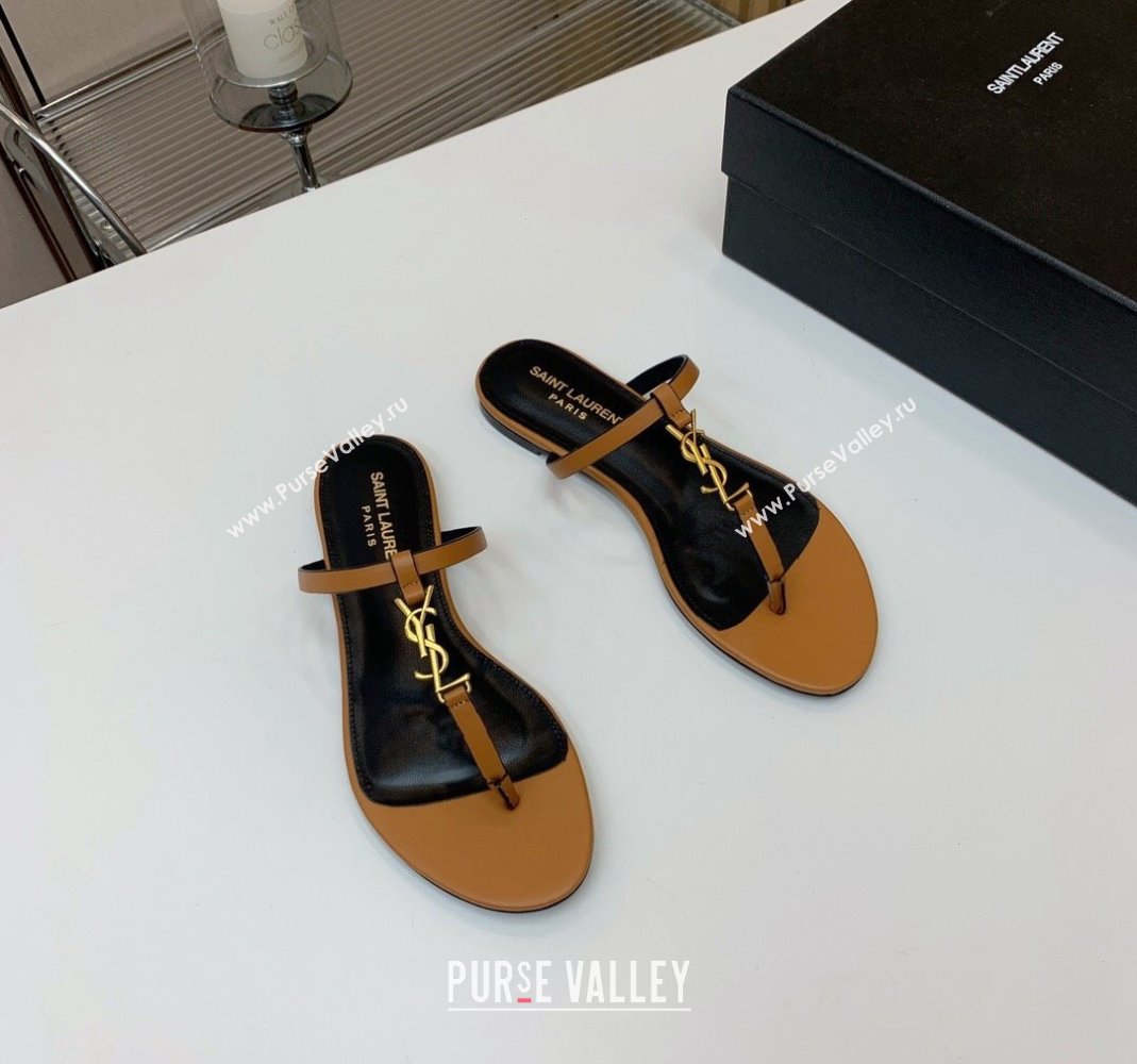 Saint Laurent YSL Flat Thong Slide Sandals in Brown Calf Leather 2024 0505 (MD-240506124)