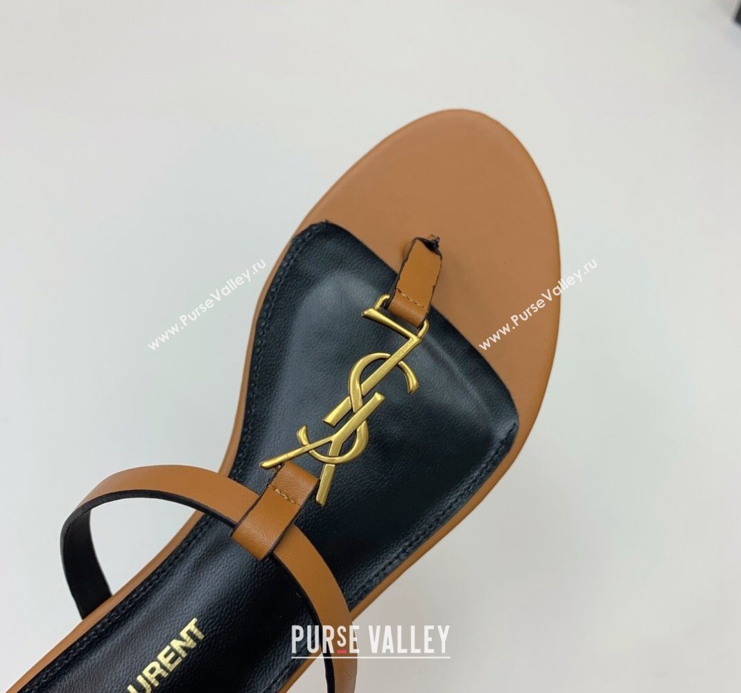 Saint Laurent YSL Flat Thong Slide Sandals in Brown Calf Leather 2024 0505 (MD-240506124)