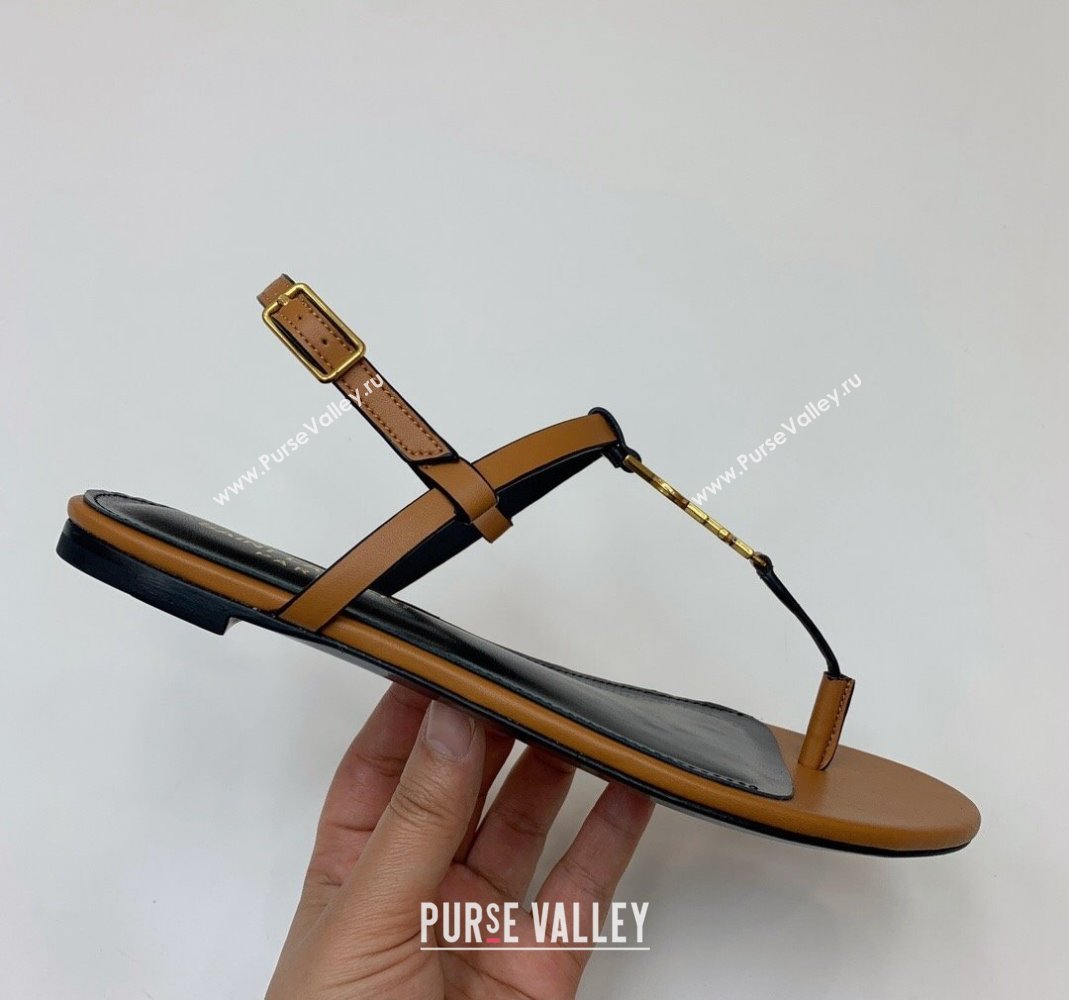 Saint Laurent YSL Flat Thong Sandals in Brown Calf Leather 2024 0506 (MD-240506118)