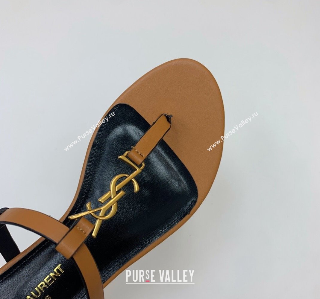 Saint Laurent YSL Flat Thong Sandals in Brown Calf Leather 2024 0506 (MD-240506118)