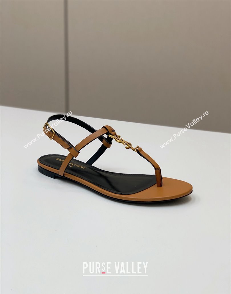 Saint Laurent YSL Flat Thong Sandals in Brown Calf Leather 2024 0506 (MD-240506118)