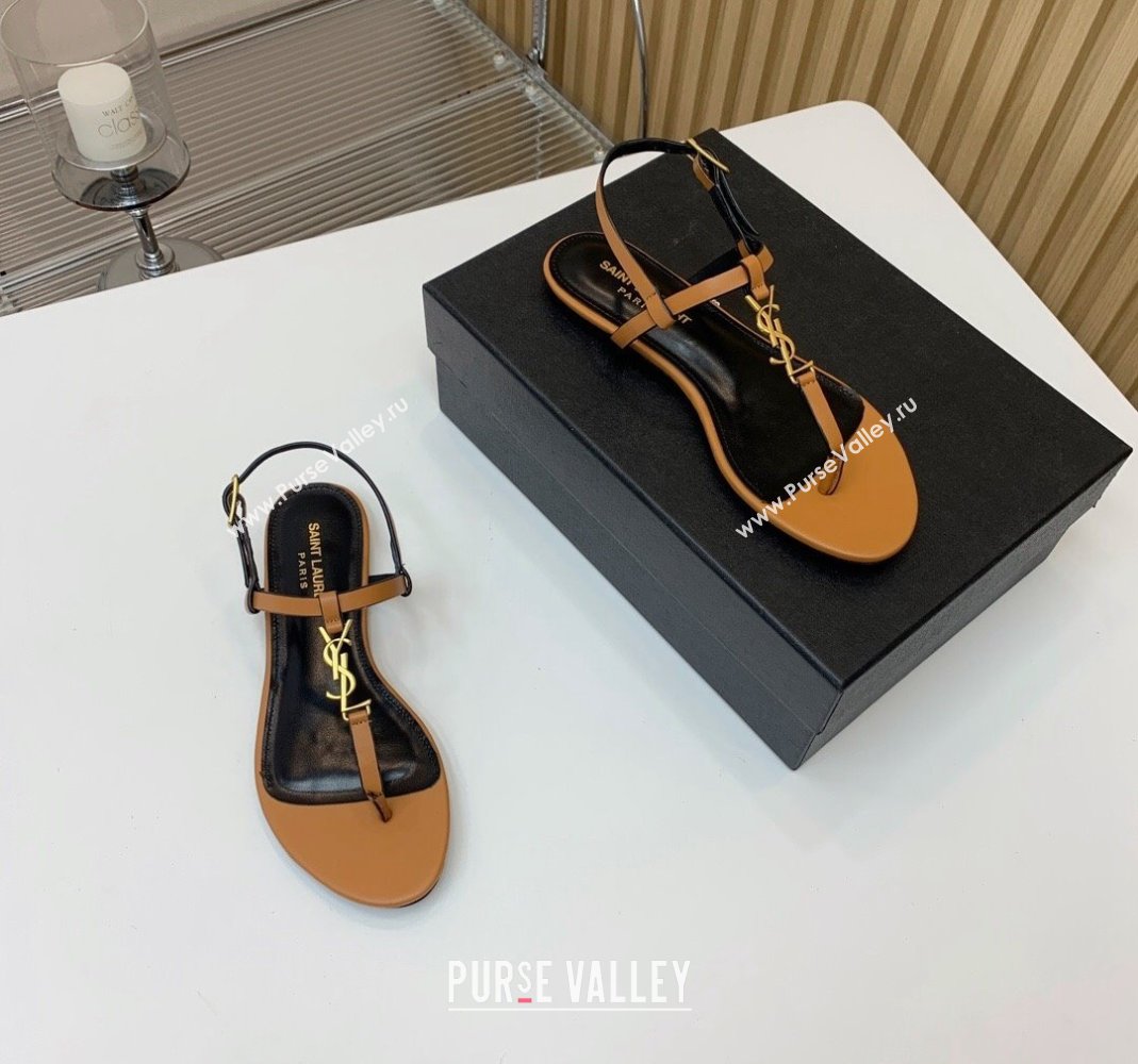 Saint Laurent YSL Flat Thong Sandals in Brown Calf Leather 2024 0506 (MD-240506118)