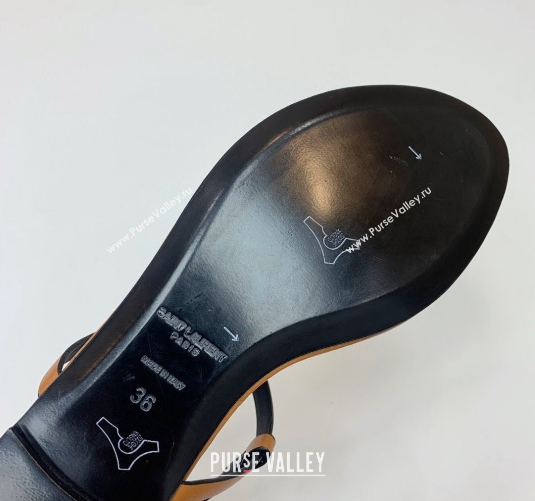 Saint Laurent YSL Flat Thong Sandals in Brown Calf Leather 2024 0506 (MD-240506118)