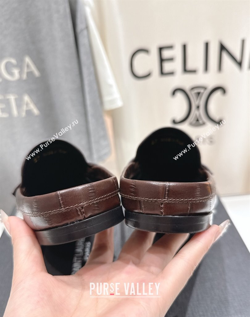 Saint Laurent Le Loafers Mules in Eel Embossed Leather Brown 2025 (MD-250424038)