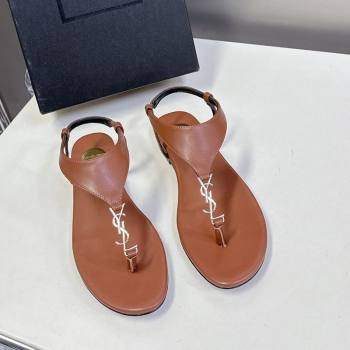 Saint Laurent Cassandre Flat Thong Sandals in Smooth Leather Brown 2025 818293 (MD-250424043)