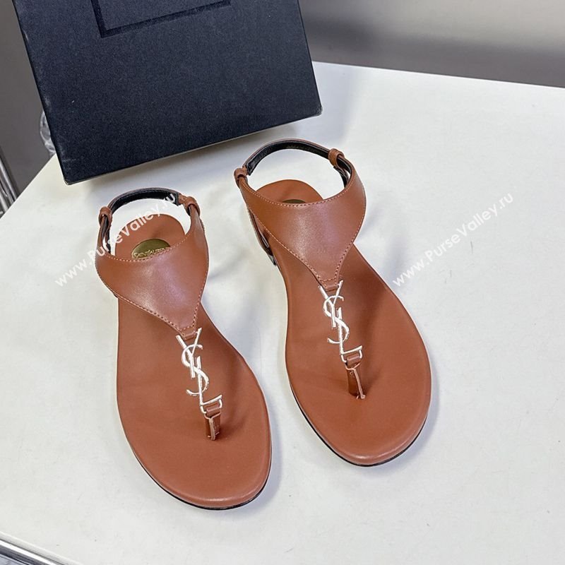 Saint Laurent Cassandre Flat Thong Sandals in Smooth Leather Brown 2025 818293 (MD-250424043)