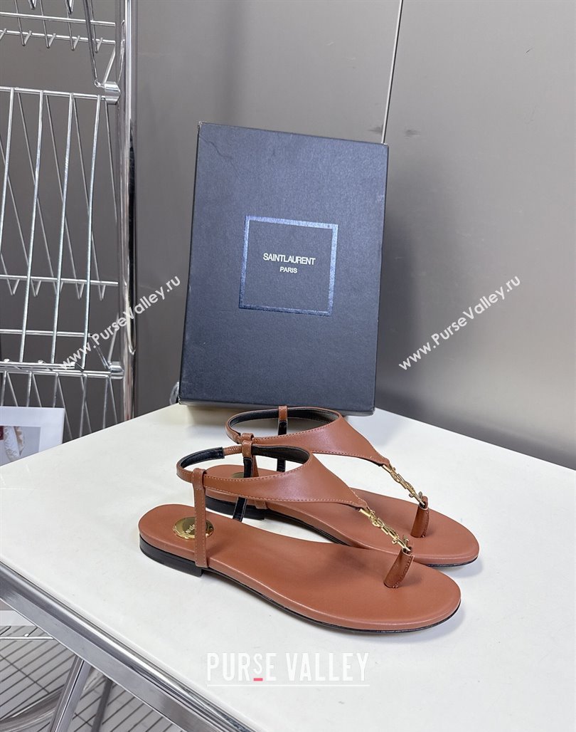 Saint Laurent Cassandre Flat Thong Sandals in Smooth Leather Brown 2025 818293 (MD-250424043)