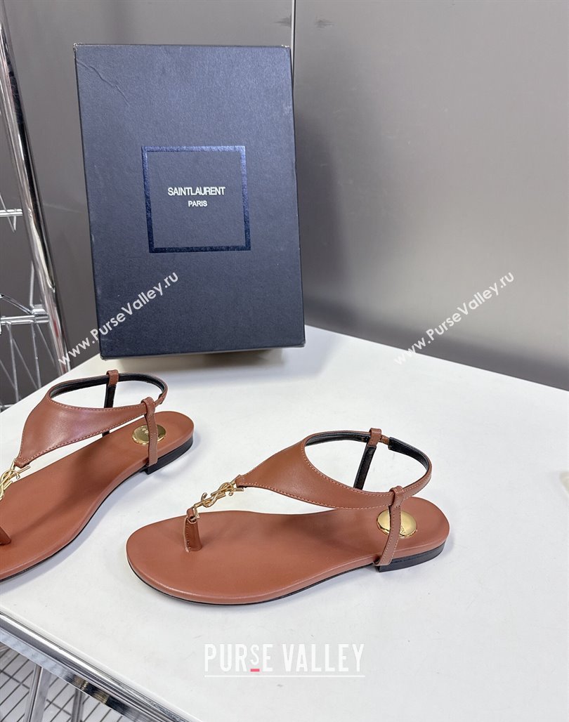 Saint Laurent Cassandre Flat Thong Sandals in Smooth Leather Brown 2025 818293 (MD-250424043)
