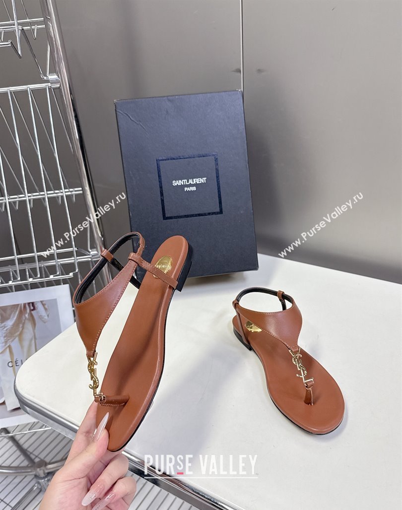 Saint Laurent Cassandre Flat Thong Sandals in Smooth Leather Brown 2025 818293 (MD-250424043)