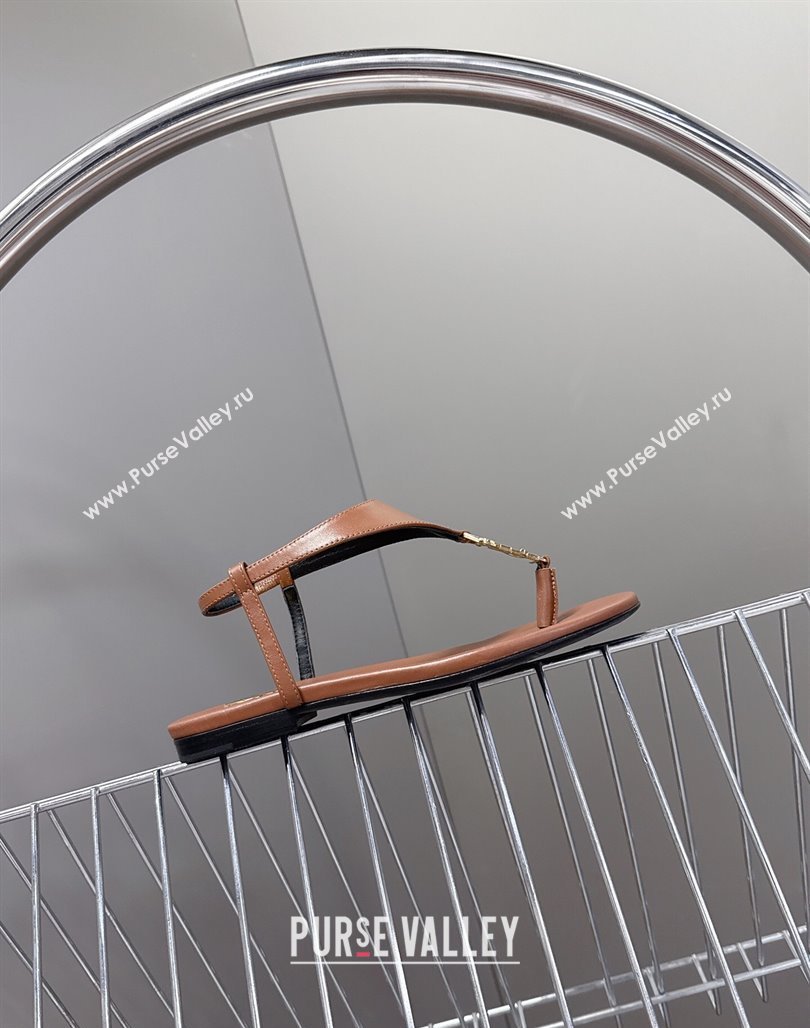 Saint Laurent Cassandre Flat Thong Sandals in Smooth Leather Brown 2025 818293 (MD-250424043)