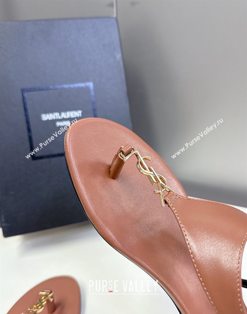 Saint Laurent Cassandre Flat Thong Sandals in Smooth Leather Brown 2025 818293 (MD-250424043)