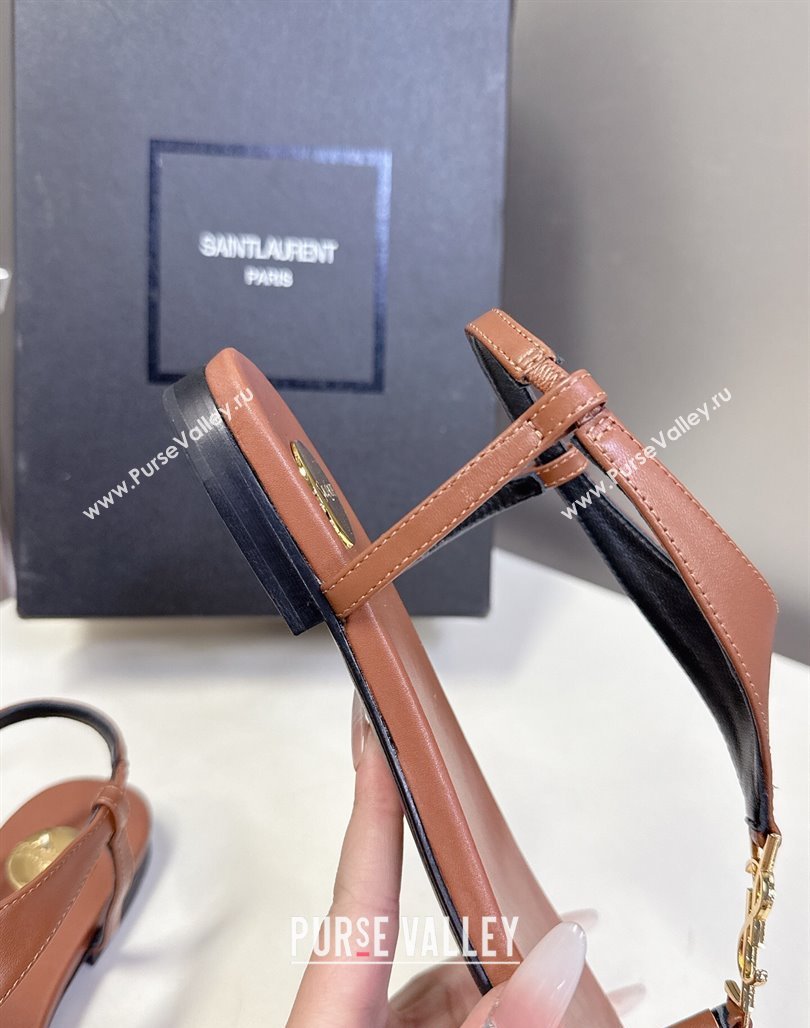 Saint Laurent Cassandre Flat Thong Sandals in Smooth Leather Brown 2025 818293 (MD-250424043)