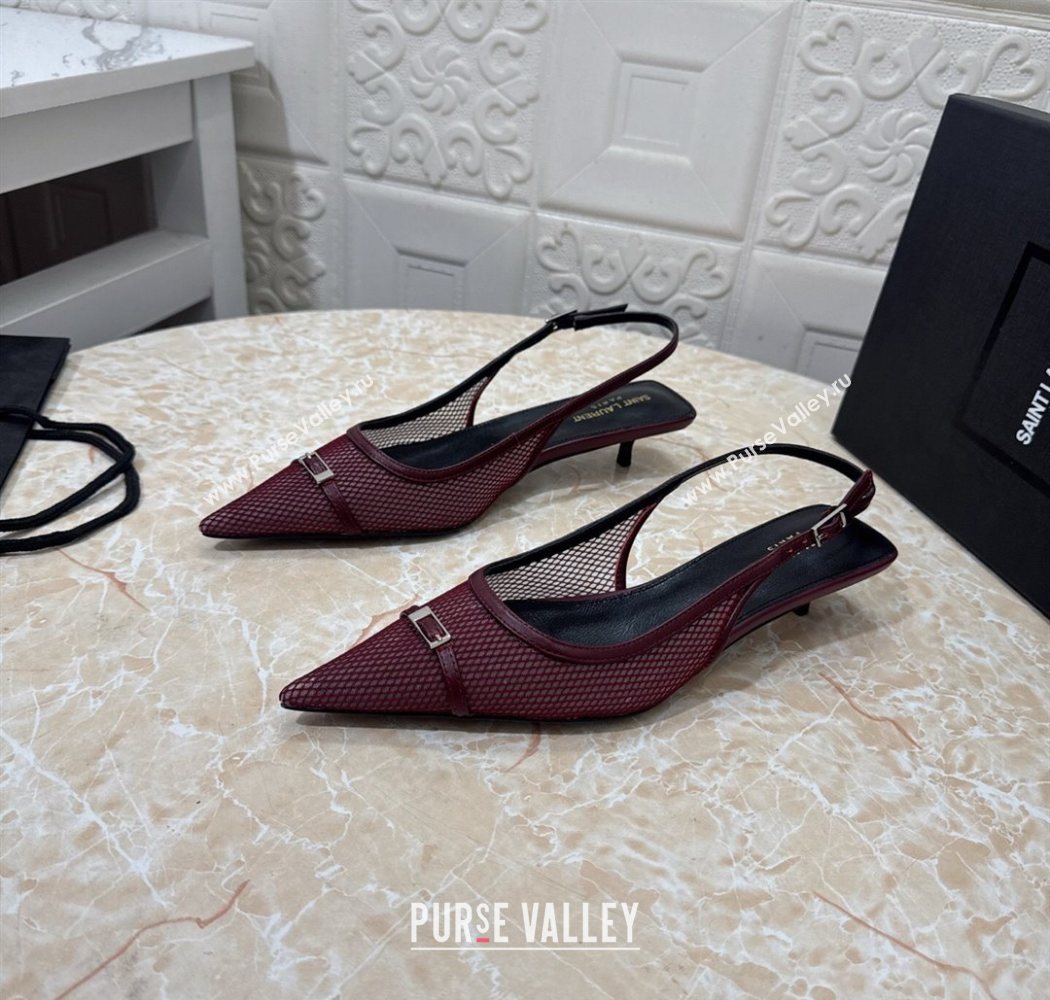 Saint Laurent Mesh Slingback Pumps 3.5cm with Buckle Burgundy 2025 SL082501 (MD-250825116)