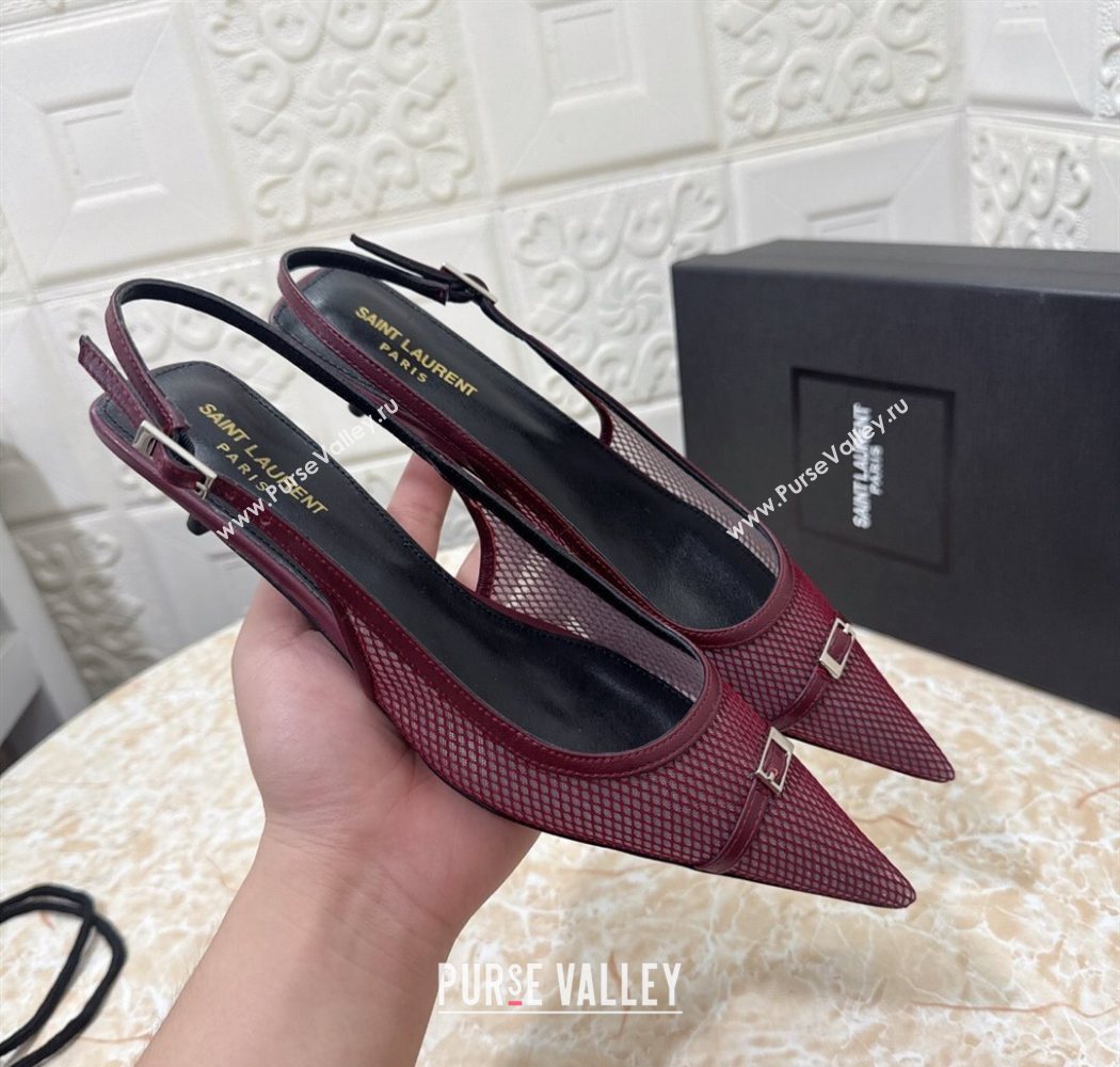 Saint Laurent Mesh Slingback Pumps 3.5cm with Buckle Burgundy 2025 SL082501 (MD-250825116)