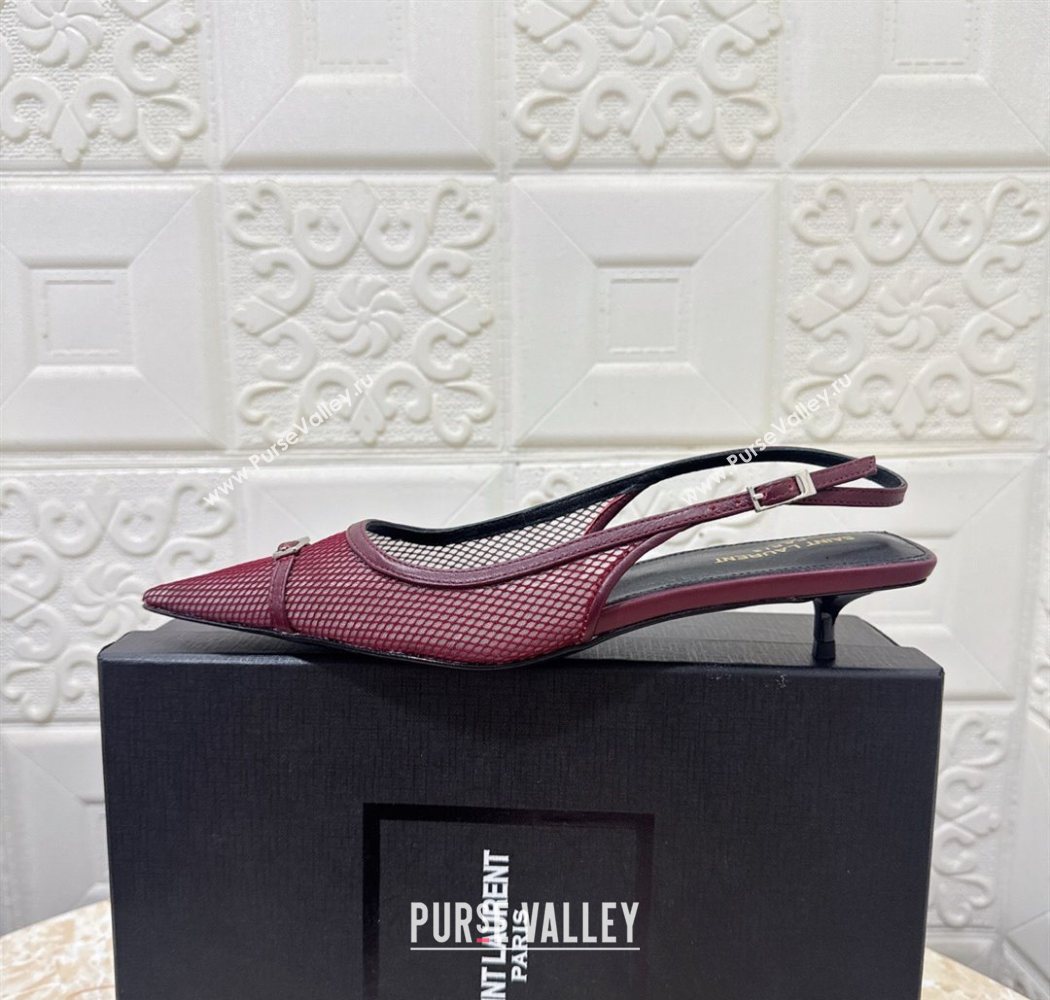 Saint Laurent Mesh Slingback Pumps 3.5cm with Buckle Burgundy 2025 SL082501 (MD-250825116)