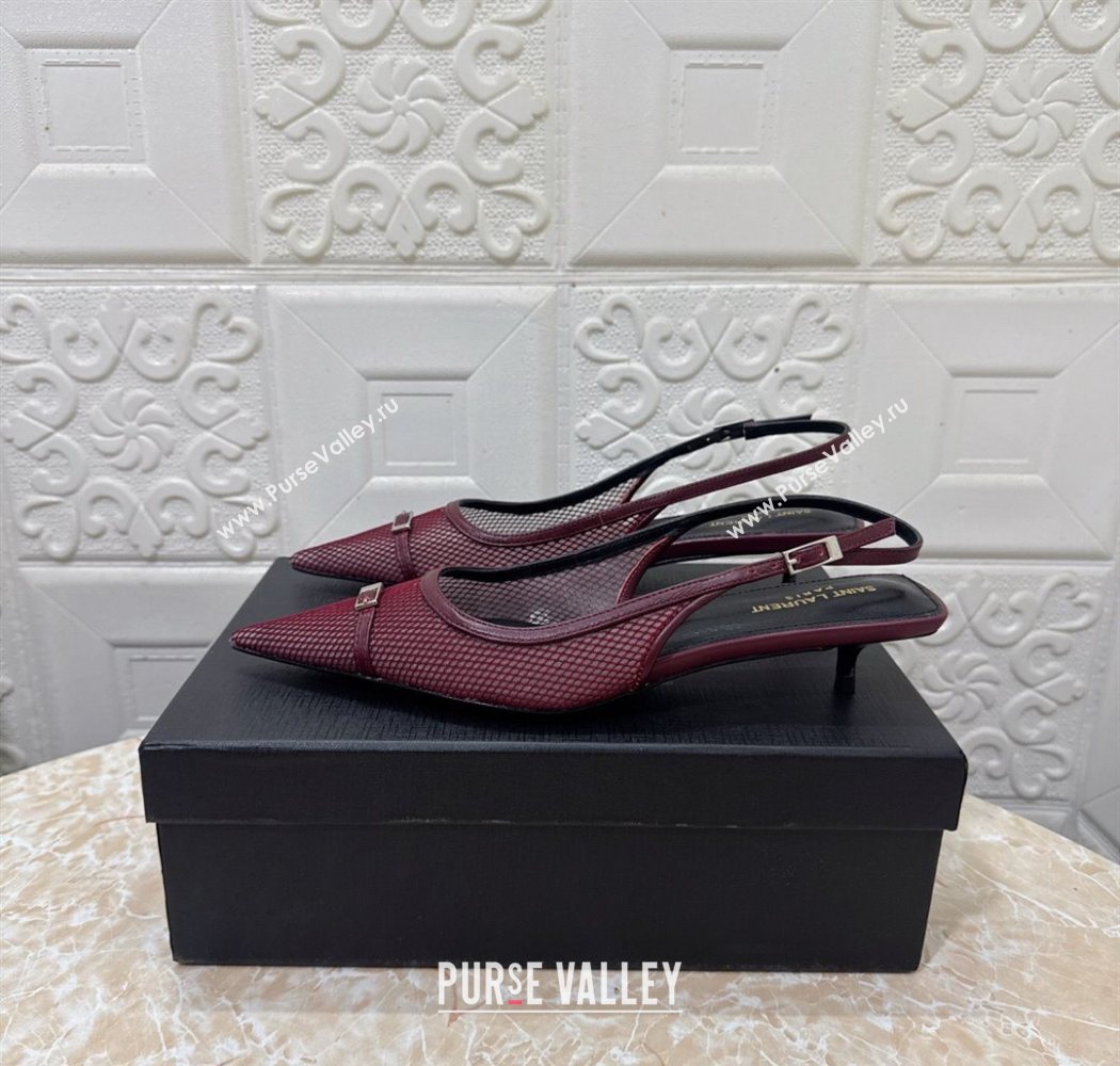 Saint Laurent Mesh Slingback Pumps 3.5cm with Buckle Burgundy 2025 SL082501 (MD-250825116)