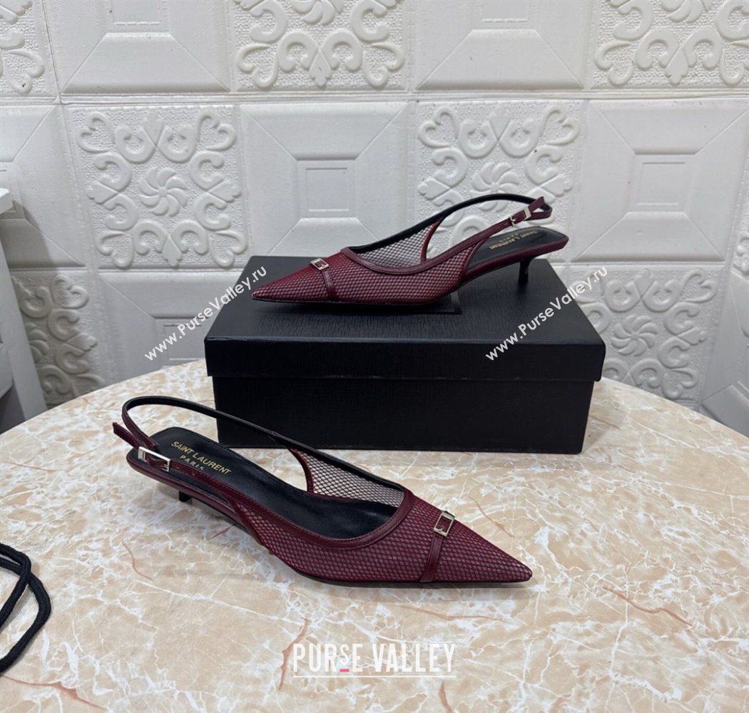 Saint Laurent Mesh Slingback Pumps 3.5cm with Buckle Burgundy 2025 SL082501 (MD-250825116)