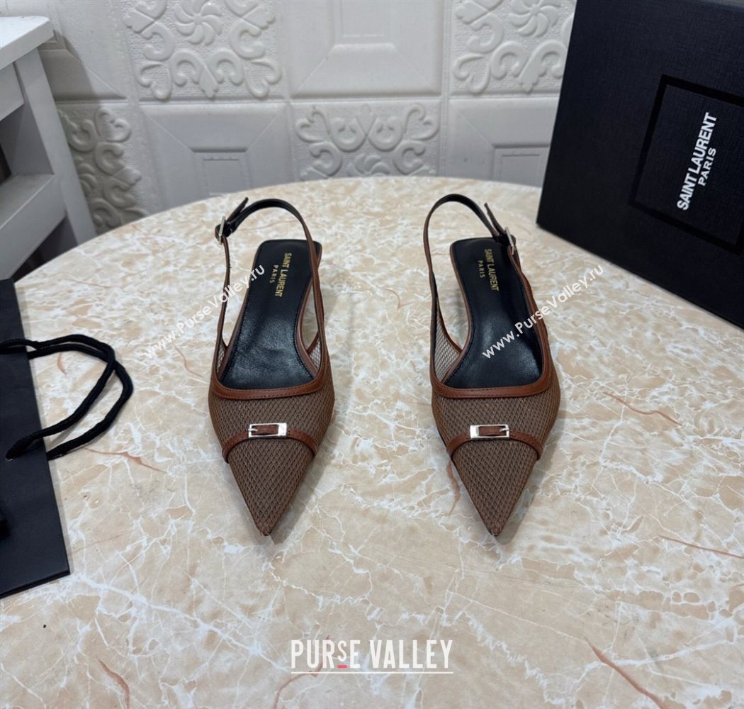 Saint Laurent Mesh Slingback Pumps 3.5cm with Buckle Brown 2025 SL082501 (MD-250825118)