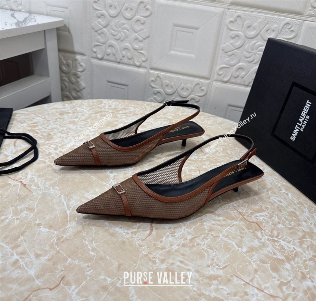 Saint Laurent Mesh Slingback Pumps 3.5cm with Buckle Brown 2025 SL082501 (MD-250825118)