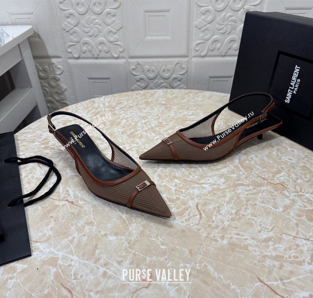 Saint Laurent Mesh Slingback Pumps 3.5cm with Buckle Brown 2025 SL082501 (MD-250825118)