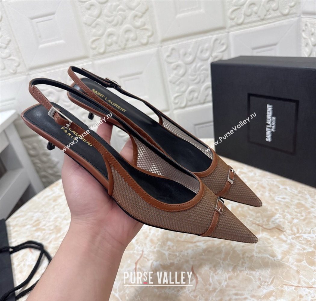 Saint Laurent Mesh Slingback Pumps 3.5cm with Buckle Brown 2025 SL082501 (MD-250825118)
