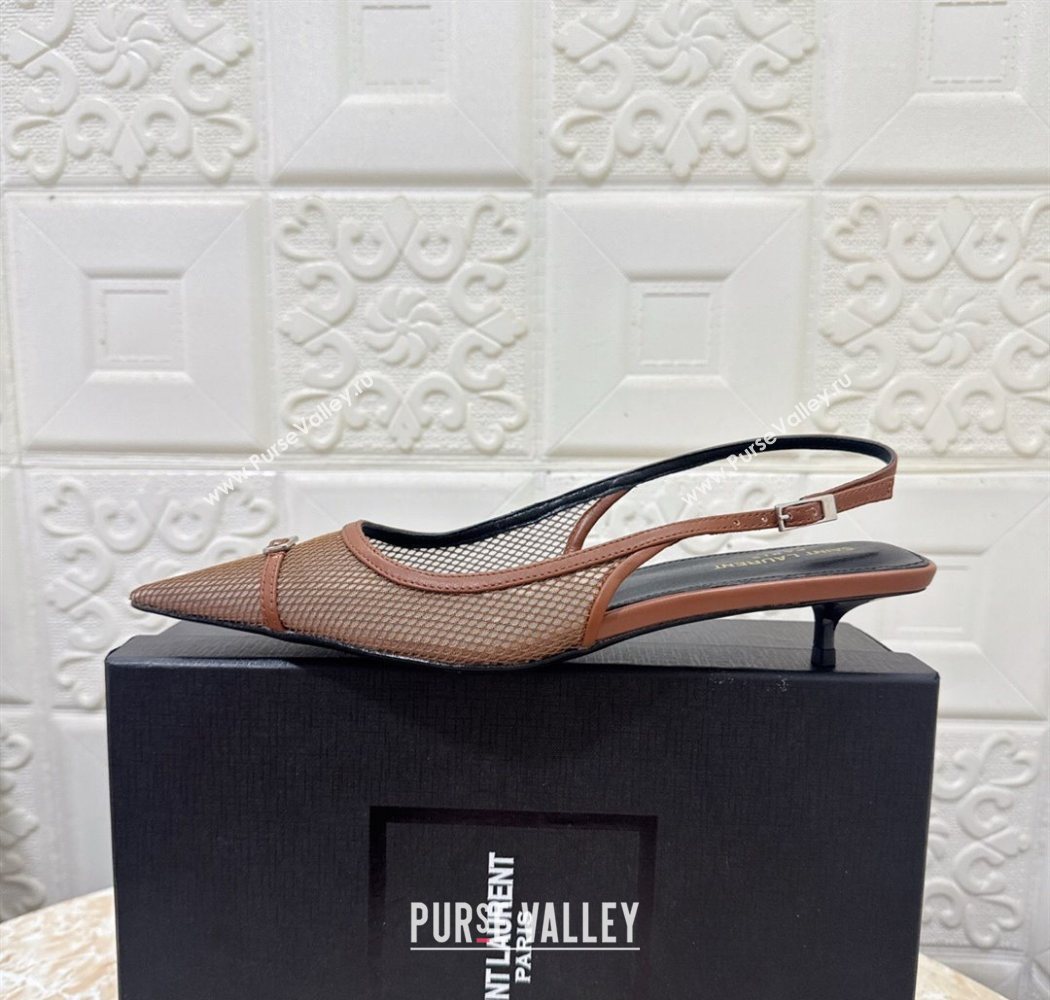 Saint Laurent Mesh Slingback Pumps 3.5cm with Buckle Brown 2025 SL082501 (MD-250825118)