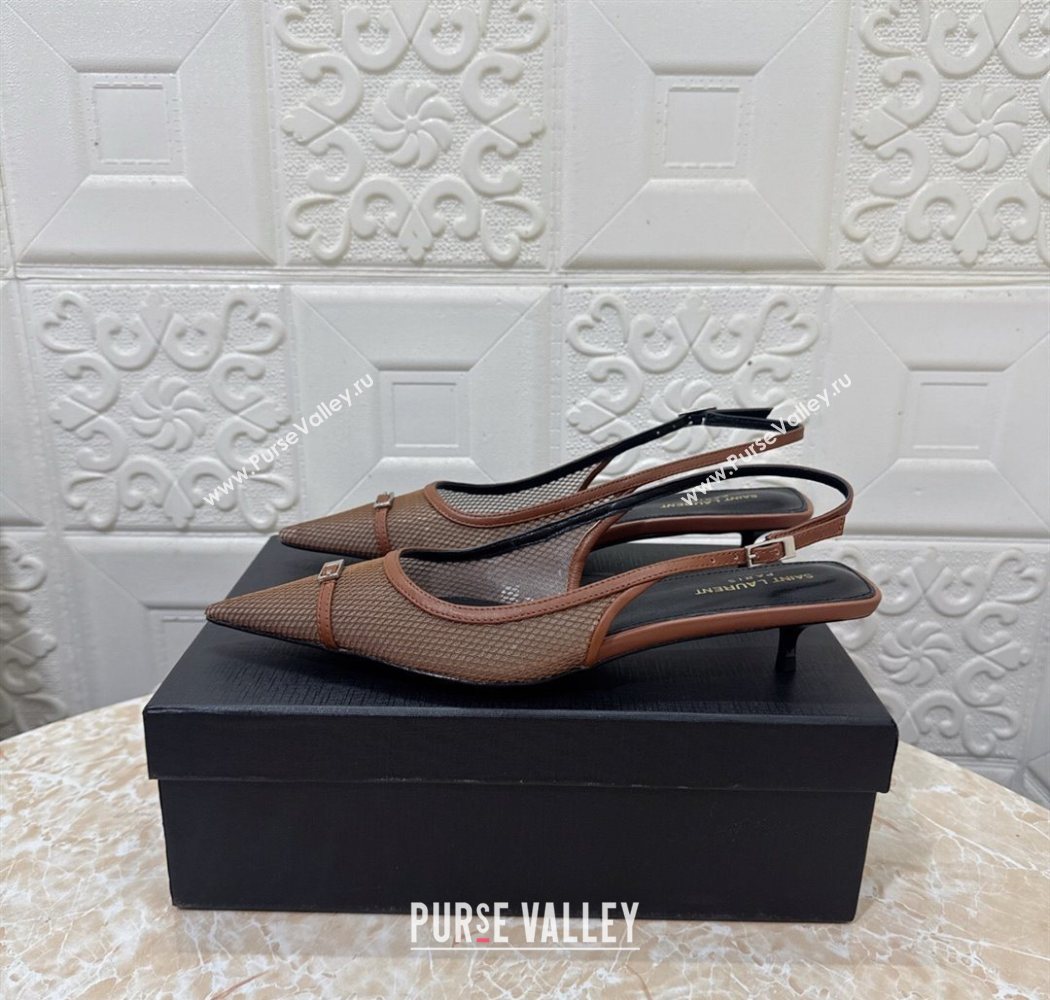 Saint Laurent Mesh Slingback Pumps 3.5cm with Buckle Brown 2025 SL082501 (MD-250825118)