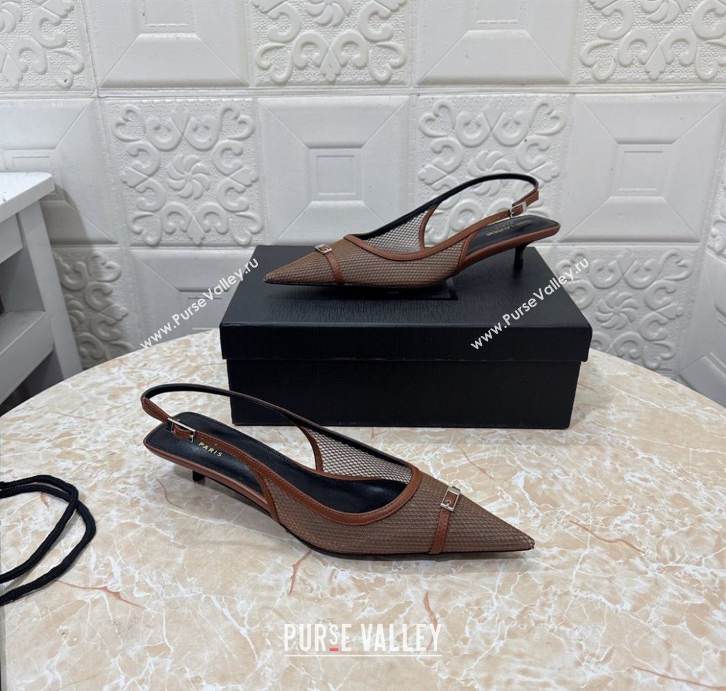 Saint Laurent Mesh Slingback Pumps 3.5cm with Buckle Brown 2025 SL082501 (MD-250825118)
