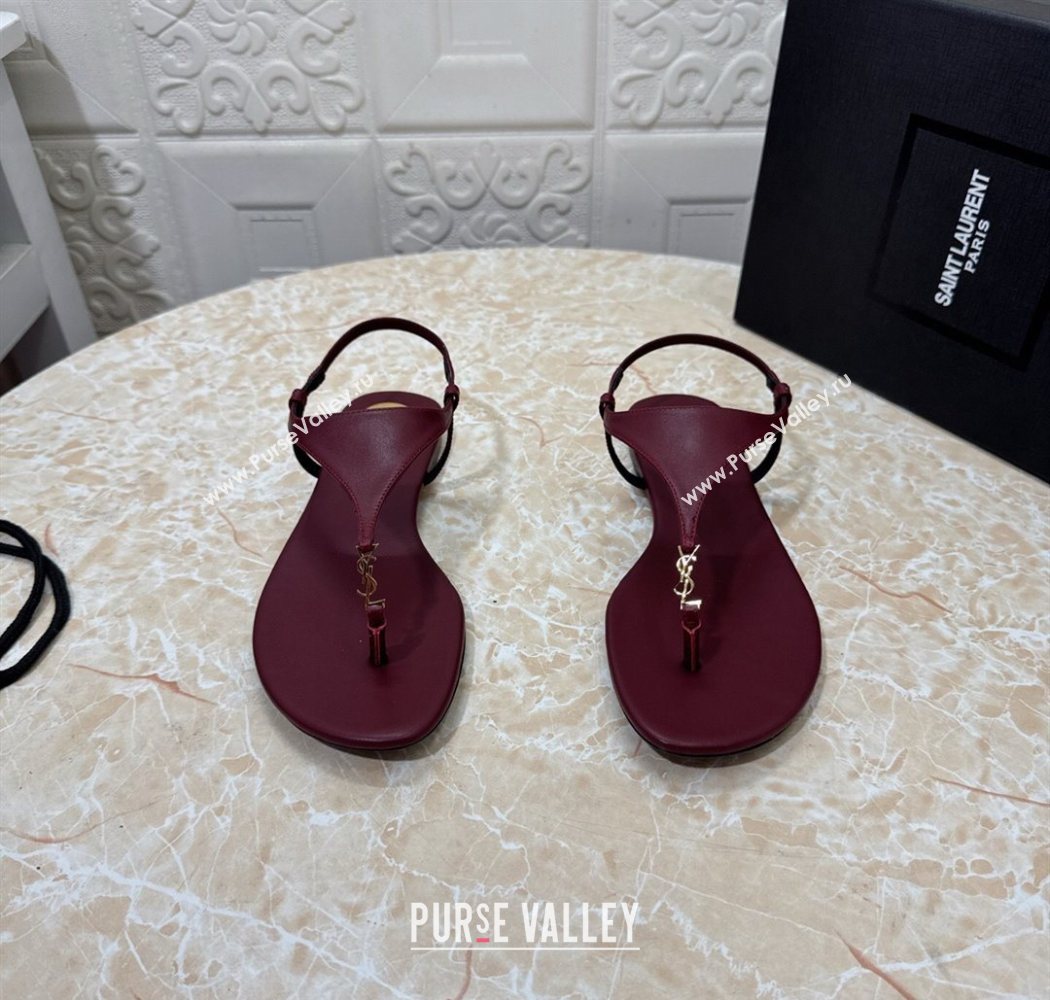 Saint Laurent Cassandra Flat Thong Sandals in Calfskin Burgundy 2025 841570 (MD-250825127)