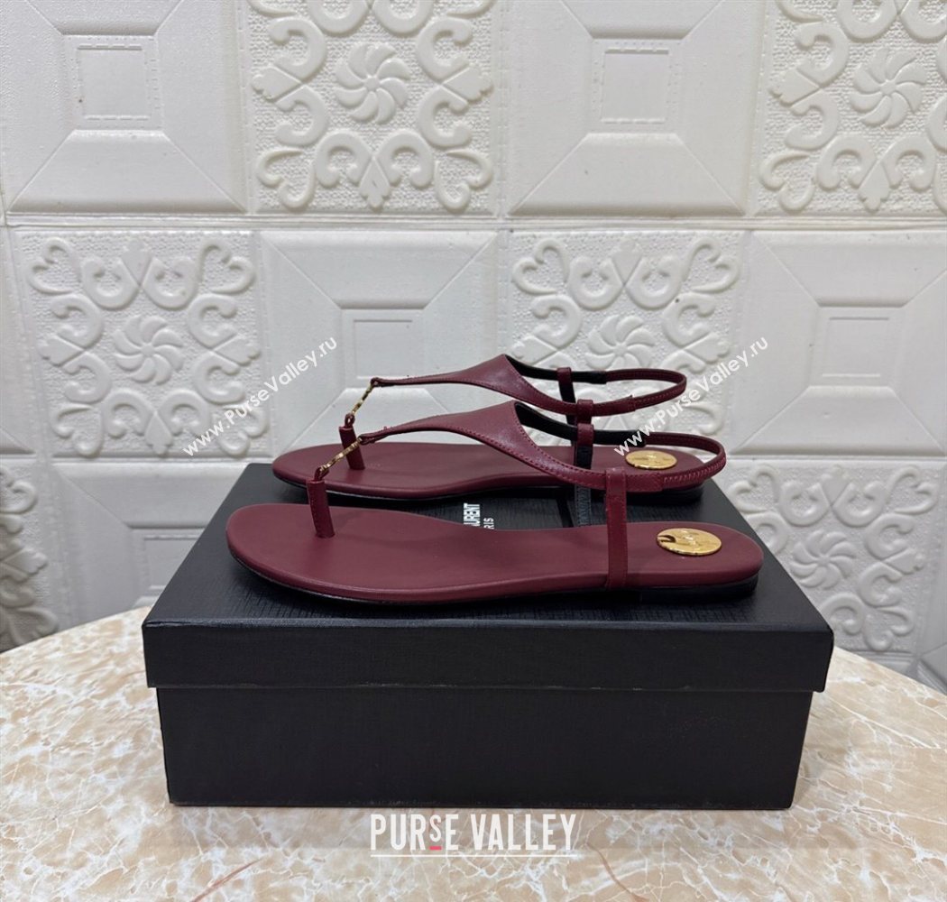 Saint Laurent Cassandra Flat Thong Sandals in Calfskin Burgundy 2025 841570 (MD-250825127)