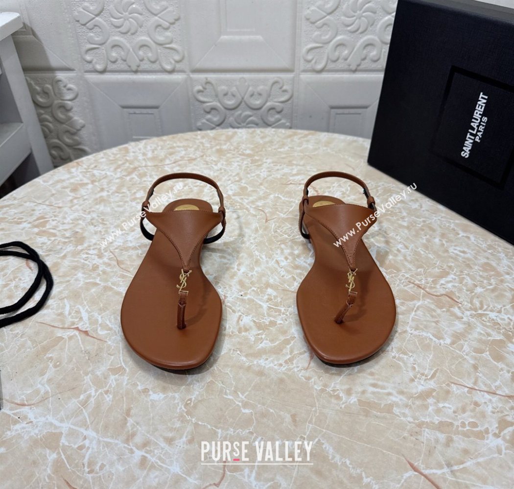 Saint Laurent Cassandra Flat Thong Sandals in Calfskin Brown 2025 841570 (MD-250825130)