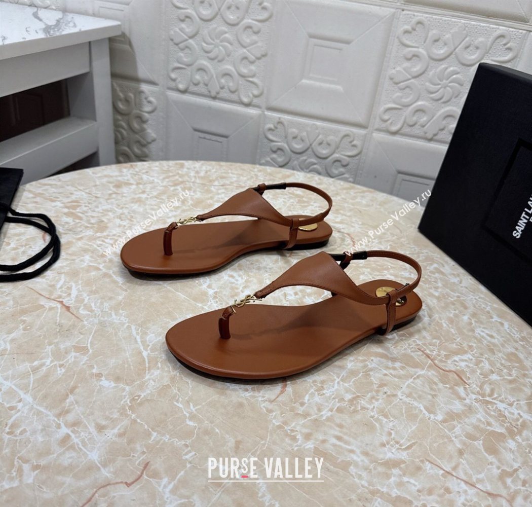 Saint Laurent Cassandra Flat Thong Sandals in Calfskin Brown 2025 841570 (MD-250825130)