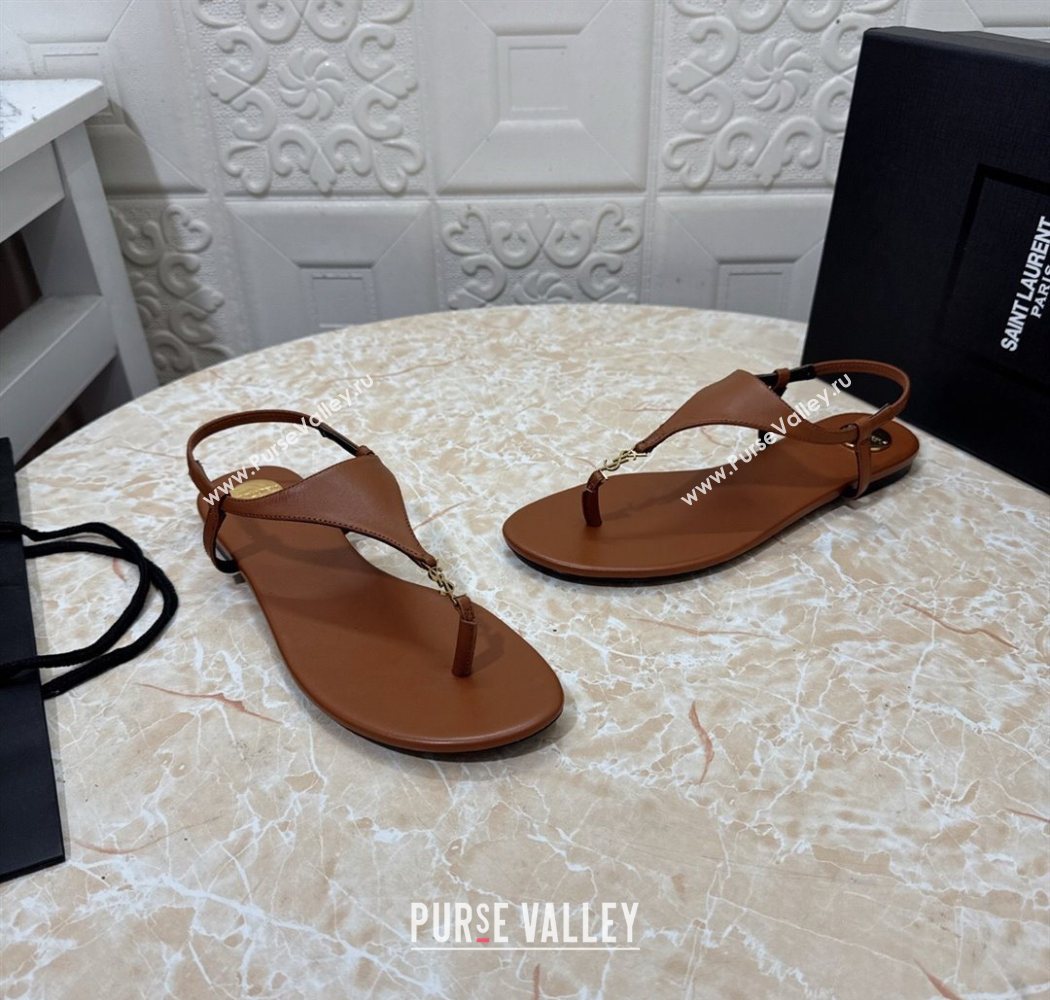 Saint Laurent Cassandra Flat Thong Sandals in Calfskin Brown 2025 841570 (MD-250825130)