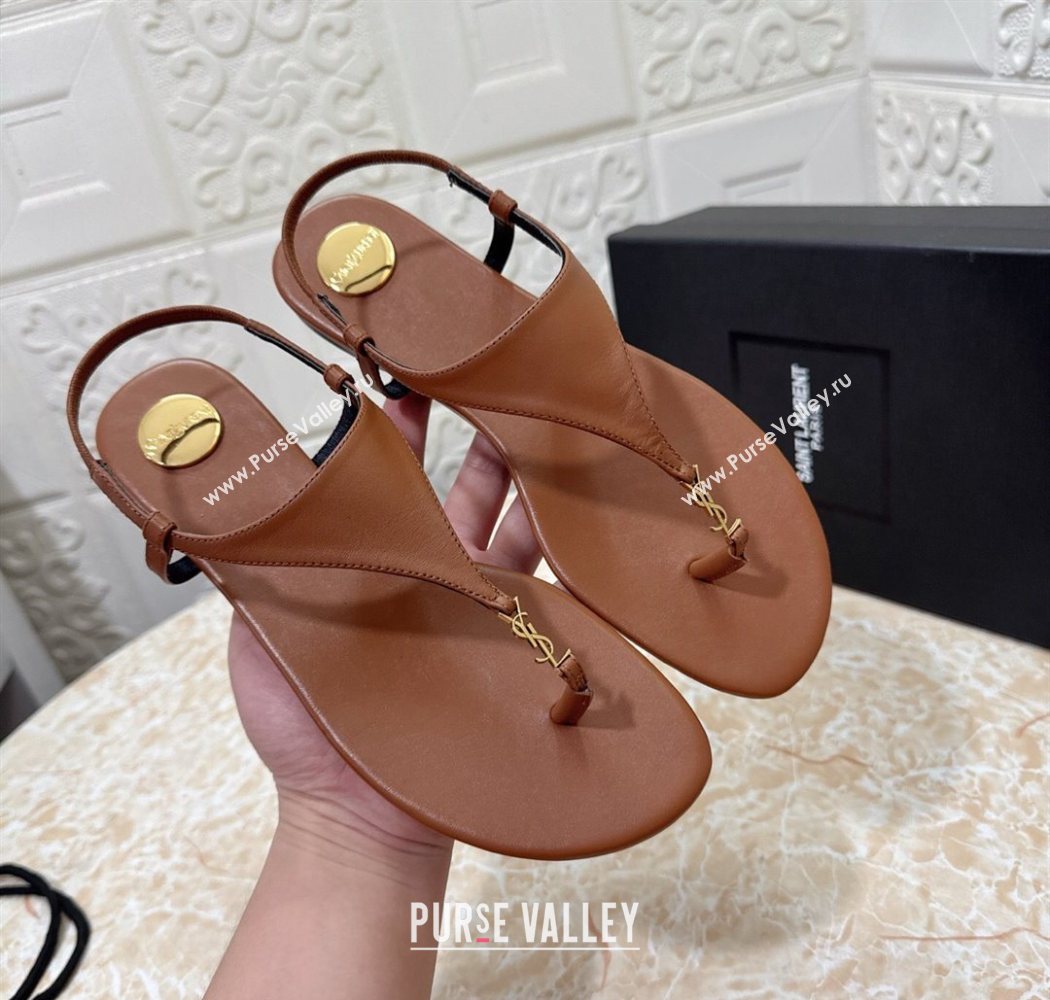 Saint Laurent Cassandra Flat Thong Sandals in Calfskin Brown 2025 841570 (MD-250825130)