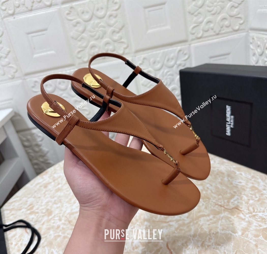 Saint Laurent Cassandra Flat Thong Sandals in Calfskin Brown 2025 841570 (MD-250825130)