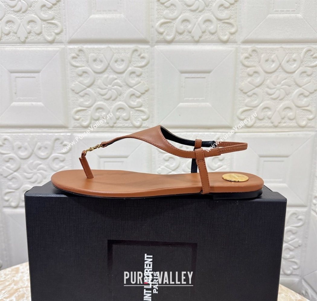 Saint Laurent Cassandra Flat Thong Sandals in Calfskin Brown 2025 841570 (MD-250825130)