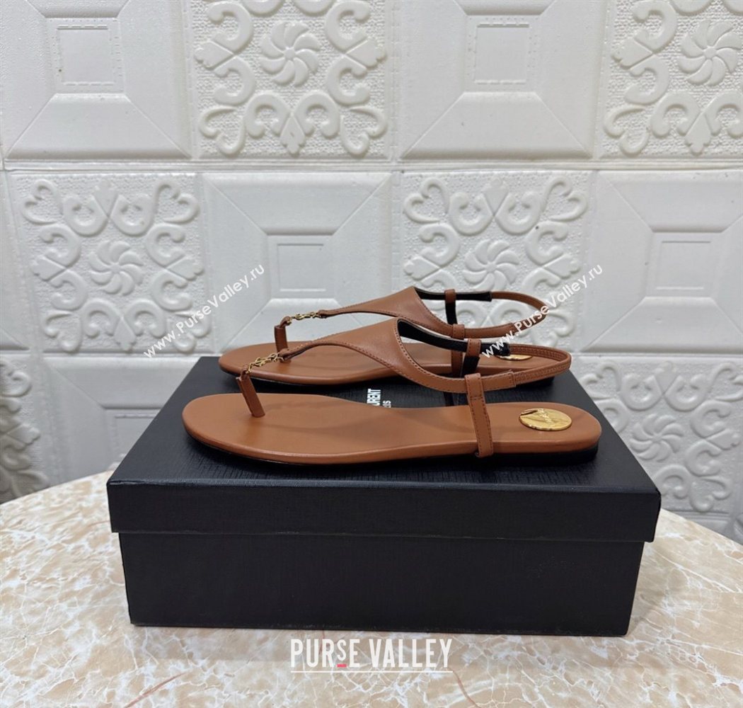 Saint Laurent Cassandra Flat Thong Sandals in Calfskin Brown 2025 841570 (MD-250825130)